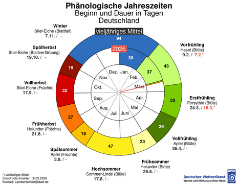 Phänologische Uhr mit Beginn und Dauer der phänologischen Jahreszeiten, vieljähriges Mittel und aktuelles Jahr 2026 im Vergleich