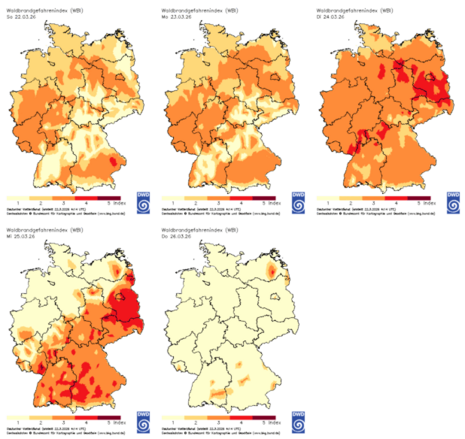 Der Waldbrandgefahrenindex des DWD steigt in den kommenden Tagen noch deutlich an und erreicht ab Dienstag regional die zweithöchste Warnstufe. Erst ab Donnerstag ist die Gefahr erstmal gebannt.