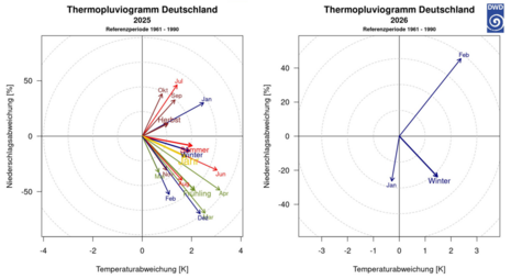 Abweichungen der deutschlandweit gemittelten Temperatur und Niederschlagssummen im Vergleich zum langjährigen Mittel (1961-1990), für verschiedene zeitliche Mittel (Monat/Jahreszeit/Jahr). Die linke Abbildung zeigt die Werte für das Jahr 2025, die rechte 