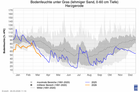 Zeitlicher Verlauf der Bodenfeuchte für die Station Harzgerode, im Vergleich zu den Jahren 1991 bis 2020, dem Jahr 2025, und dem langjährigen Mittel.