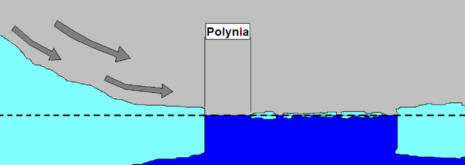 Schema der Bildung einer Polynja durch Einwirkung von Fallwinden; Quelle: Deutscher Wetterdienst, Sachgebiet See– und Polarwetterdienst