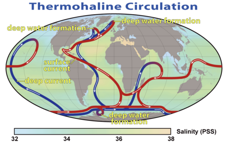 Abbildung 1: Skizze der thermohalinen Zirkulation, blau: Tiefsee, rot: Oberfläche. Salzgehalt des Meeres farbig hinterlegt. Markiert sind Übergangspunkte, an denen das Wasser absinkt. Quelle: Webb, Paul: 