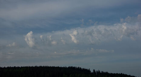 Altocumulus castellanus ( Quelle:Bild: Rüdiger Manig, DWD)