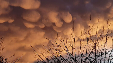 Mammatuswolken über Gotha. (Quelle:Gertraud Vollrath)