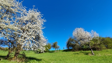 Tiefblauer Frühlingshimmel nach dem Durchzug einer Kaltfront.