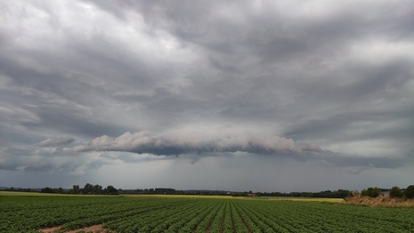Ein Sommergewitter bringt nach längerer Trockenheit Regen.