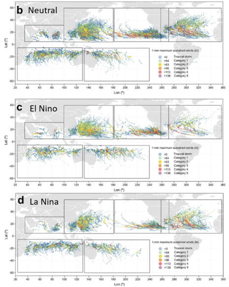 Anzahl der beobachteten Stürme zwischen 1980 und 2021 in den verschiedenen Ozeanen bei der neutralen Phase, El Nino und La Nina. Deutliche Unterschiede sind vor allem im Atlantik erkennbar. (Quelle:https://www.nature.com/articles/s41597-025-05018-4)
