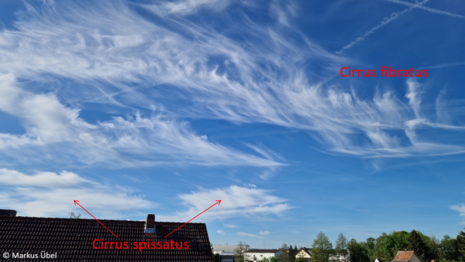 Abbildung 1: „Cirrus fibratus“ und „Cirrus spissatus“ am Morgen des 27. April 2026 im südlichen Rhein-Main-Gebiet.