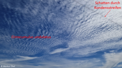Abbildung 3: „Cirrocumulus undulatus“ und Schattenwurf eines Kondensstreifens am Vormittag des 27. April 2026 im südlichen Rhein-Main-Gebiet.