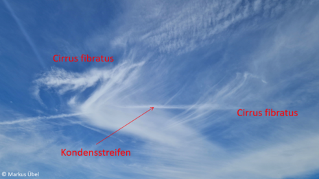 Abbildung 4: „Cirrus fibratus“ mit besonders langen Wolkenfäden, überquert von einem Kondensstreifen am Vormittag des 27. April 2026 im südlichen Rhein-Main-Gebiet.