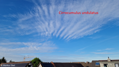 Abbildung 6: „Cirrocumulus undulatus“ am frühen Abend des 27. April 2026 im südlichen Rhein-Main-Gebiet.