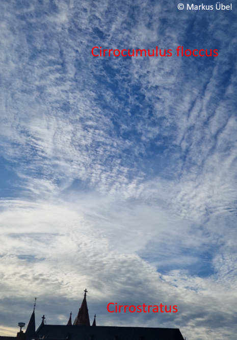 Abbildung 7: „Cirrocumulus floccus“ und „Cirrostratus“ am frühen Abend des 27. April 2026 im südlichen Rhein-Main-Gebiet.