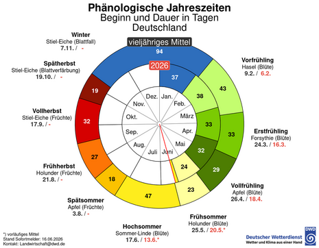 Phänologische Uhr mit Beginn und Dauer der phänologischen Jahreszeiten, vieljähriges Mittel und aktuelles Jahr 2026 im Vergleich