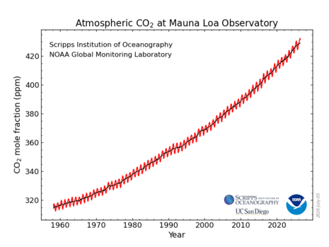 Der beobachtete CO2 Anstieg in der Messreihe des Mauna Loa Observatorium auf Hawaii.