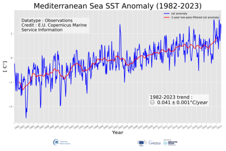 Zeitreihe der Temperaturanomalie der Meeressoberfläche des Mittelmeers. Quelle: COPERNICUS