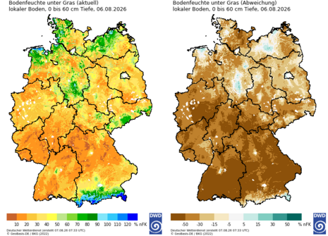 Abbildung 3: Bodenfeuchte in 0 bis 60 cm Tiefe unter Gras am 06.08.2026 (links) und Abweichung der Bodenfeuchte vom Mittel 1991 - 2020 (rechts). Bei weniger als 30 % nutzbarer Feldkapazität stehen Pflanzen unter deutlichem Trockenstress. (Quelle:DWD)