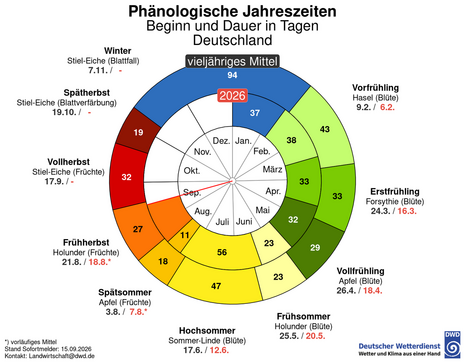 Phänologische Uhr mit Beginn und Dauer der phänologischen Jahreszeiten, vieljähriges Mittel und aktuelles Jahr 2026 im Vergleich