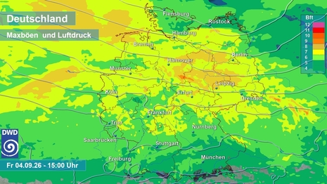 Spitzenböen (Farbe) und Luftdruck (Linie) von Modell ICON D2 für Freitagnachmittag um 15:00 Uhr. Die gelben und orangen Farben entsprechen Böen der Starke 7 bis 9 Bft (60 bis 80 km/h).