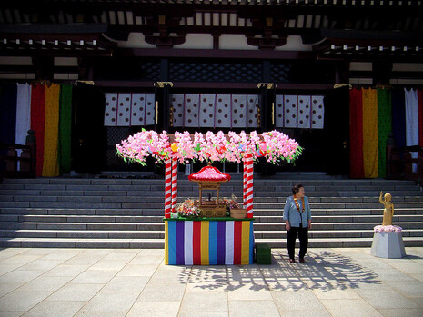 In Japan wird der Geburtstag von Gotama Siddhattha am 8. April gefeiert.