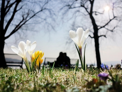 Zu warm, zu trocken und zu sonnig: So zeigte sich der Frühling 2014.