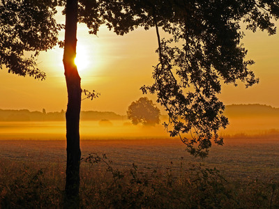 Nicht immer gelingt es der Herbstsonne, sich durch den morgendlichen Nebel zu kämpfen
