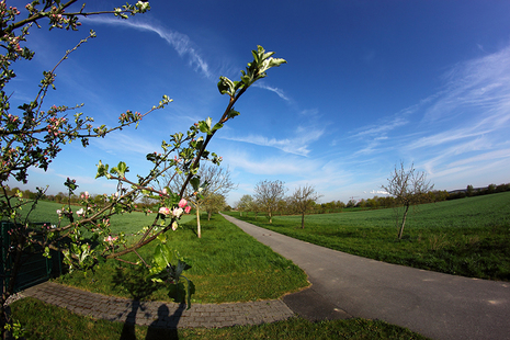 Frühling an der Wetterwarte Rheinstetten