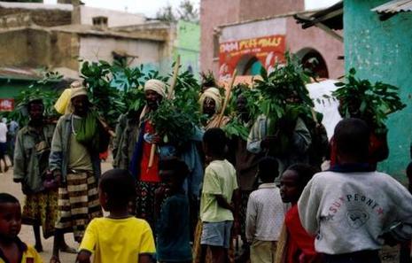 Regentanz, aufgeführt in Harar im Südosten Äthiopiens.