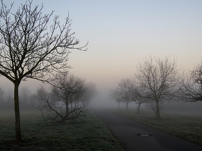 Morgendlicher Nebel