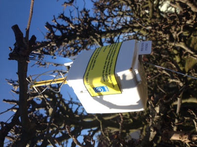 Gelandete Radiosonde