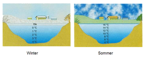 Anomalie des Wassers