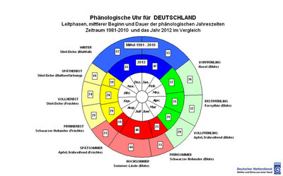 „Doppelte Phänologische Uhr“ für Deutschland