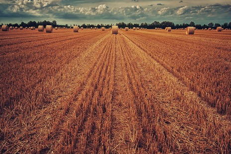 Eine gemischte Jahresbilanz für die Landwirtschaft - Wetterdienst.de