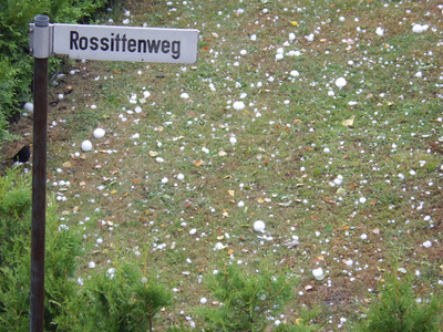 Hagel in Hämelerwald