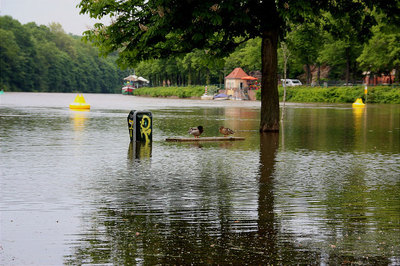 Hochwasser in Halle (Saale)