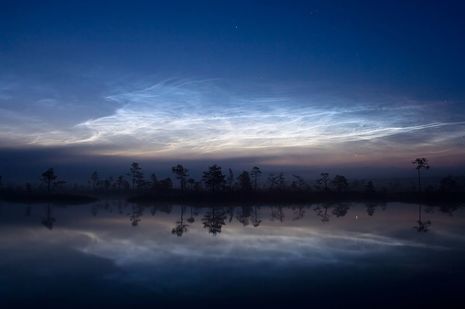 Leuchtende Nachtwolken über dem Nationalpark Soomaa (Estland)