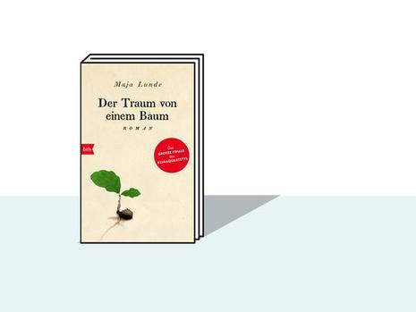 Zum Vergrößern bitte klicken