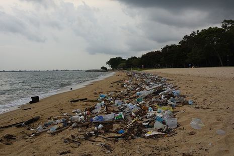 Angeschwemmter Plastikmüll an einem Strand in Singapur