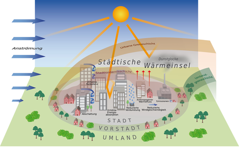 Zum Vergrößern bitte klicken
