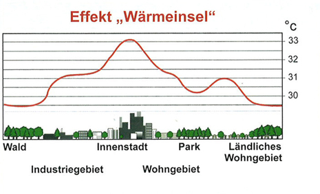 Zum Vergrößern bitte klicken