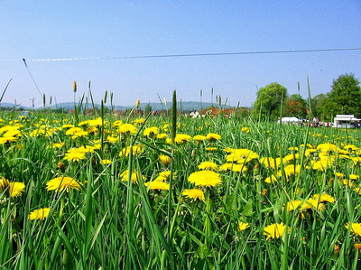 Heute und am Freitag im Süden und Osten Höchstwerte über 25 Grad