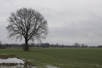Kein richtiger Winter in Sicht